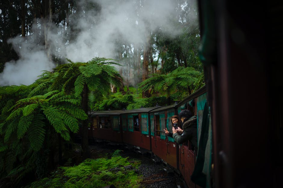 Bahnreise zum König der Löwen