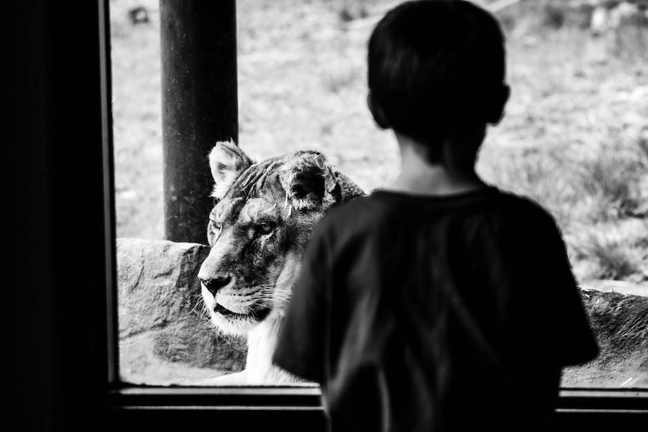 Namen der Tiere aus König der Löwen